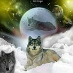 Cory Thorson - Instagram Profile Picture of Cory Thorson (@c_thor64) on Instagram