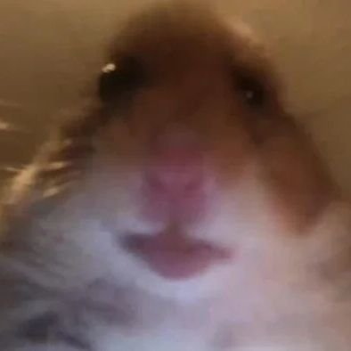 Profile Picture of Sihfs (@DanBellman) on Twitter