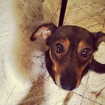 Profile Picture of Ma Ru (@zar.rubiolo) on Flickr