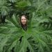 Profile Picture of Jessie Taylor (@jessag08) on Pinterest