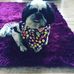 Profile Picture of Darwin Dobson (@darwin.dobson.1428) on Facebook
