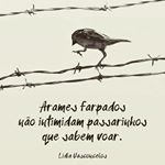 Profile Picture of Alexa Darling (@_alexadarling) on Instagram