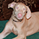Profile Picture of Charles Weaver (@XShadisX) on Flickr