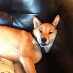 Profile Picture of Dawn Carter Doak (@dawncarter1) on Pinterest