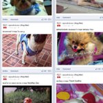 Profile Picture of David Allen (@baselimecheerup) on Instagram