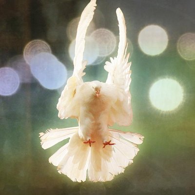 Profile Picture of SopiaJung (@ManheeLee5) on Twitter