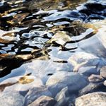 Profile Picture of Yvette Barbano (@yvettebarbano) on Instagram