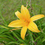 Profile Picture of nenita_16 (@nidia_saenz_lino) on Instagram