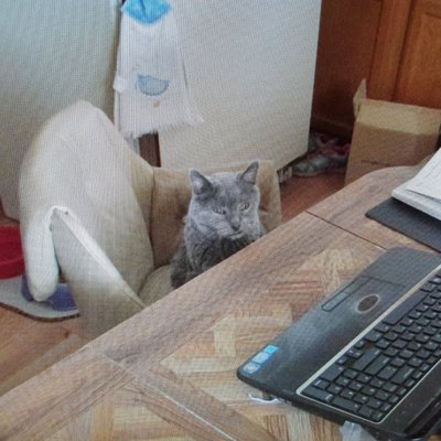 Profile Picture of Carlos R Mitchell (@CarlosRMitchel1) on Twitter