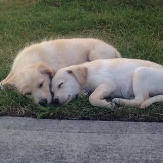 Profile Picture of Brady Reagan (@brady.reagan) on Instagram