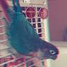 Profile Picture of Nicholas Knapp (@@_nickknapp) on Tiktok
