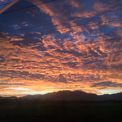 Profile Picture of Pandita Rojo (@dan_princess) on Twitter