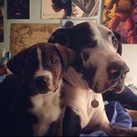 Profile Picture of Pat Pascali (@pat-pascali) on Quora