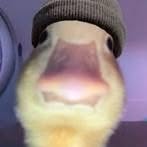 Profile Picture of Gabriel Hargett (@gabriel.hargett.96) on Facebook