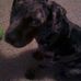 Profile Picture of John Kelly (@john.kelly.3701) on Facebook