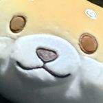 Profile Picture of David Schirmer (@bootstrap_dave) on Instagram