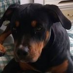 Profile Picture of Angelo Severino (@severino2732) on Instagram