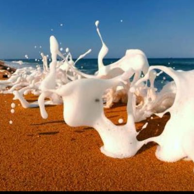 Profile Picture of James Conrad (@jayconut) on Twitter