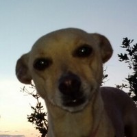 Profile Picture of Jake Trammell (@jake-trammell-4) on Quora
