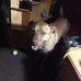 Profile Picture of Michael Marzett (@michael.homeboy.946) on Facebook