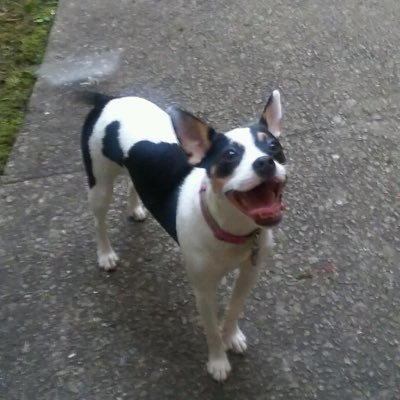 Profile Picture of Heather Beaty (@HBeaty13) on Twitter