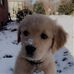 Profile Picture of Lancelot Winchester (@lancelot.winchester.50) on Facebook