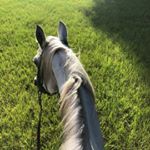 Profile Picture of Pamela Clark Knapp (@pamela.c.knapp) on Instagram