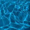 Profile Picture of James Schwantz (@@jamesschwantz) on Tiktok