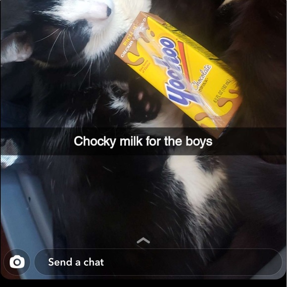 Profile Picture of Shane Jenness (@shizzymac92) on Poshmark