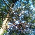 Profile Picture of Shree Lenner (@shree.lenner) on Facebook