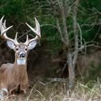 Profile Picture of David Hatchett (@David-Hatchett) on Facebook