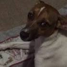 Profile Picture of   Eloisa Belen Vera Parrao... (@eloisavera) on Tiktok