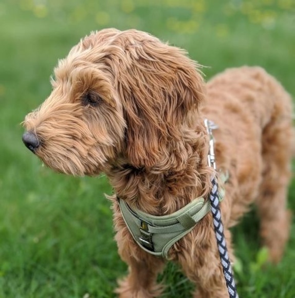 Profile Picture of Daneen Sladky (@daneensladky) on Poshmark