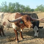 Profile Picture of Doris Jackson (@doris.jackson.3766) on Instagram