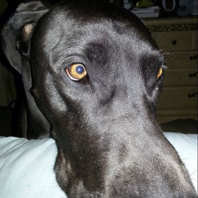 Profile Picture of Joe Puente (@joe_puente3663) on Twitter