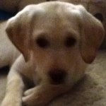 Profile Picture of adam_polanski (@adam_polanski) on Instagram