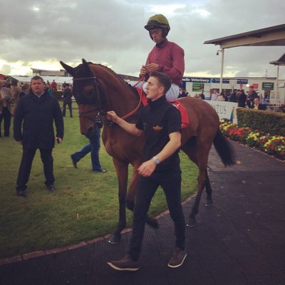 Profile Picture of Kevin Brogan (@brogan109) on Twitter