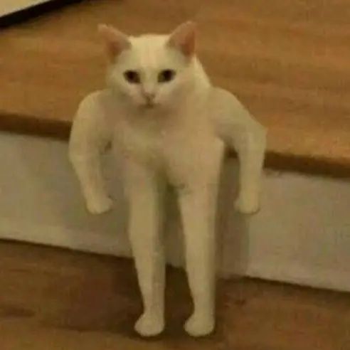 Todd Burke - Tiktok Profile Picture of Todd Burke (@toddburke373) on Tiktok