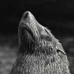 Profile Picture of Andrew Wesley (@andrew_wesley1) on Instagram