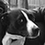 Profile Picture of Cindy  Coffman (@coffkidd2000) on Flickr