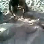 Profile Picture of Vinesh Nair (@vinu9920956252) on Youtube