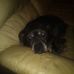 Profile Picture of Raymond Sherman (@raymond.sherman.5661) on Facebook