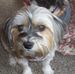 Profile Picture of Mark A Longstreth (Mark A Longstreth) (@mark.a.longstreth) on Facebook