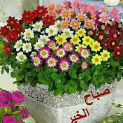 Profile Picture of Wafa Omar (@wafaomar8450) on Youtube