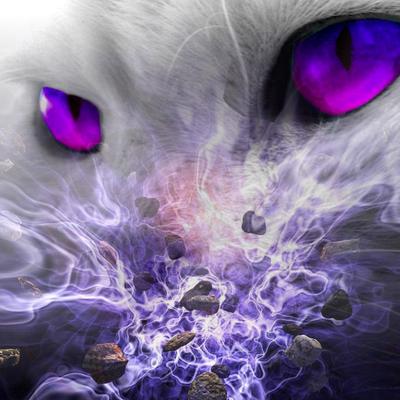 Profile Picture of Lucas.sander (@lucassander13) on Twitter