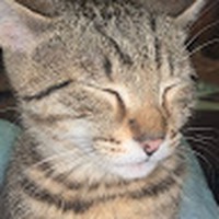 Profile Picture of Jaclyn Acocella (@jaclyn-acocella) on Quora