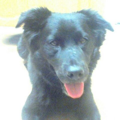 Profile Picture of Mark Barto (@mabarto64) on Twitter