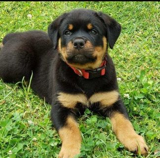 Profile Picture of Candy Carlow (@candy.carlow.334) on Facebook