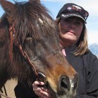 Profile Picture of Sherrie Michaels (@horselvr99) on Pinterest
