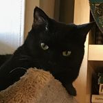 Profile Picture of Red623 (@loripullman2015) on Instagram